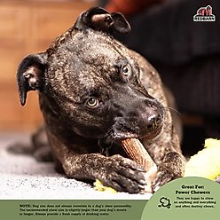 Redbarn Whole Deer Antler Dog Chew, X-Large slide 2 of 8