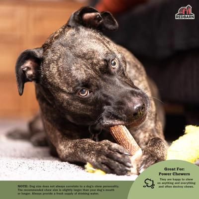 Show full view: Redbarn Half Deer Antler Dog Chews, Large slide 5 of 10