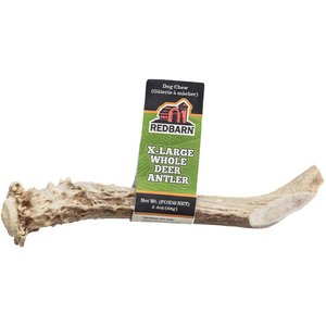 Redbarn Whole Deer Antler Dog Chew, X-Large