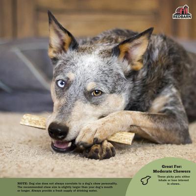 Show full view: Redbarn Whole Elk Antler Dog Chew, Large slide 5 of 11