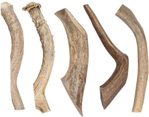 Show full view: Redbarn Whole Deer Antler Dog Chew, X-Large slide 7 of 11