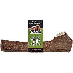 Redbarn Whole Elk Antler Dog Chew, Large
