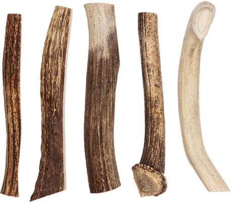 Show full view: Redbarn Half Elk Antler Dog Chew, XX-Large slide 7 of 11