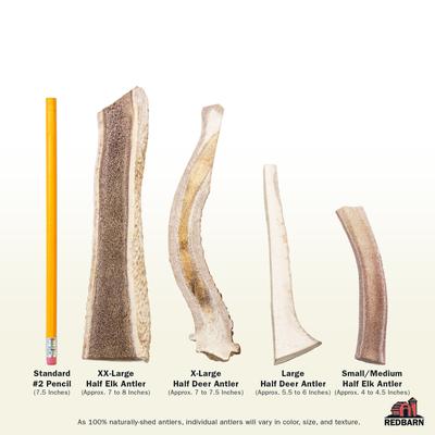 Show full view: Redbarn Half Deer Antler Dog Chews, Large slide 3 of 10