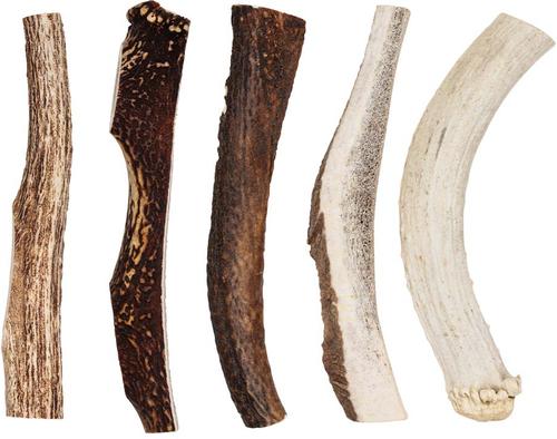 Show full view: Redbarn Half Deer Antler Dog Chews, X-Large slide 7 of 11