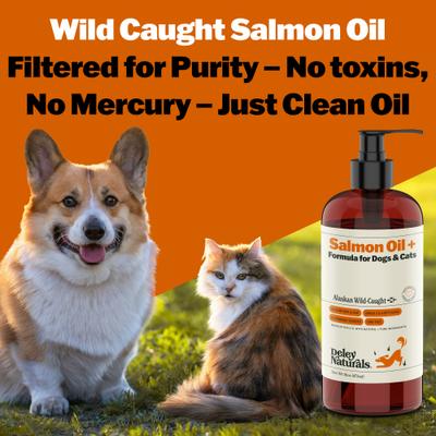 Show full view: Deley Naturals Wild Alaskan Salmon Oil + for Dogs & Cats, 16-fl oz bottle slide 6 of 11