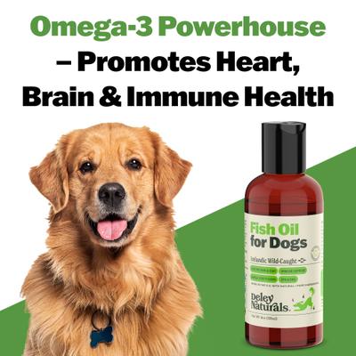 Show full view: Deley Naturals Fish Oil Dog Supplement, 4-fl oz bottle slide 5 of 10