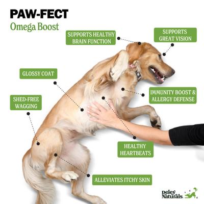 Show full view: Deley Naturals Fish Oil Dog Supplement, 16-fl oz bottle slide 4 of 10