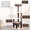 Show in main carousel: Petpals 48-in 5-Level Large Cat Tree with Scratching Posts, Brown slide 3 of 11