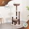 Show in main carousel: Petpals 48-in 5-Level Large Cat Tree with Scratching Posts, Brown slide 9 of 11