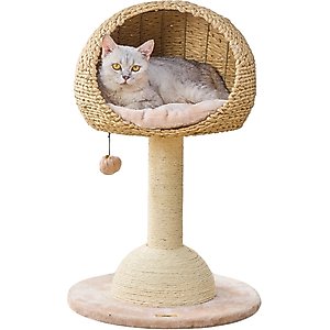 Temporarily Unavailable - SAM'S PETS Chauncy 13-in Cat Tree, White