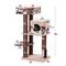 Show in main carousel: Petpals 50-in Cat Tree with Large Condo & Top Perch, Rustic Brown slide 2 of 10