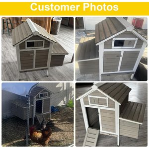 Petscosset Chicken Coop with Nesting Box, Grey, 32 x 23.6 x 36.6-in
