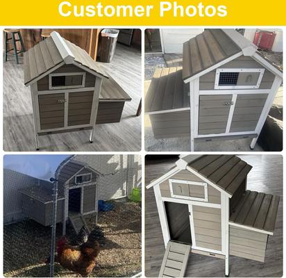 Show full view: Petscosset Chicken Coop with Nesting Box, Grey, 36.2 x 26 x 38.3-in slide 7 of 10