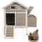 Show in main carousel: Petscosset Chicken Coop with Nesting Box, Grey, 36.2 x 26 x 38.3-in slide 1 of 10