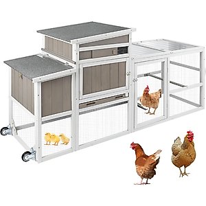 Petscosset 78-in Wooden Chicken Coop with Run, 2 to 3 Chicken Capacity, Gray