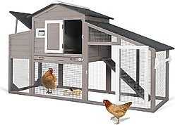 Petscosset Wooden 2-Story Chicken Coop with Run, 2 to 3 Chicken Capacity, Grey slide 1 of 8