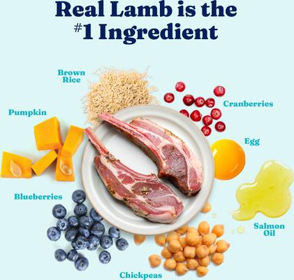 Show full view: Solid Gold NutrientBoost Lamb, Brown Rice & Pearled Barley Gut Health Whole Grain Dry Dog Food for Medium & Large Dogs, 22-lb bag slide 4 of 10
