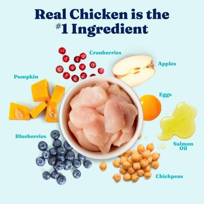 Show full view: Solid Gold Puppy Gut Health Real Chicken Potato & Apple Grain-Free Dry Dog Food, 22-lb bag slide 4 of 12