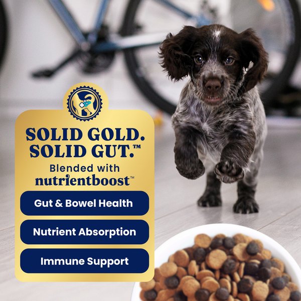 Illustration of Puppy Gut Health And Wellness Products