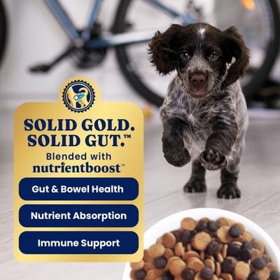 Show full view: Solid Gold Puppy Gut Health Real Chicken Potato & Apple Grain-Free Dry Dog Food, 22-lb bag slide 5 of 12