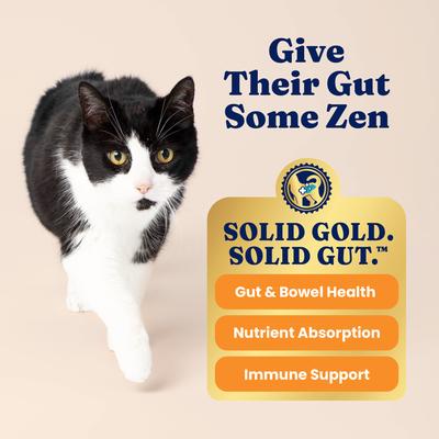 Show full view: Solid Gold Sensitive Stomach Quail & Pumpkin Grain-Free Dry Cat Food, 6-lb bag slide 5 of 10