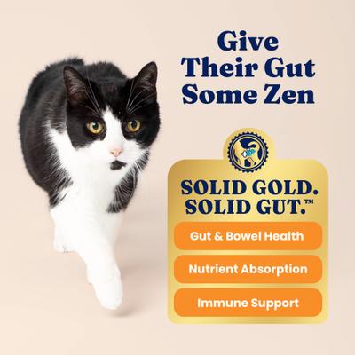 Show full view: Solid Gold Sensitive Stomach Quail & Pumpkin Grain-Free Dry Cat Food, 6-lb bag slide 5 of 12
