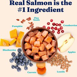 Solid Gold Real Salmon, Lentil & Apple Recipe Grain-Free Indoor Dry Cat Food, 12-lb bag slide 2 of 7