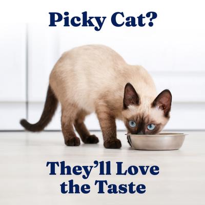 Show full view: Solid Gold Flavorful Feast Indoor Recipe with Real Chicken Grain-Free Gravy Pate Wet Cat Food, 3-oz, case of 12 slide 5 of 12