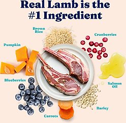 Solid Gold Real Lamb & Brown Rice Recipe Whole Grain Dry Cat Food, 12-lb bag slide 2 of 7