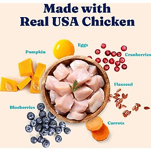 Solid Gold High Protein Real Chicken & Eggs Grain-Free Dry Cat Food, 12-lb bag