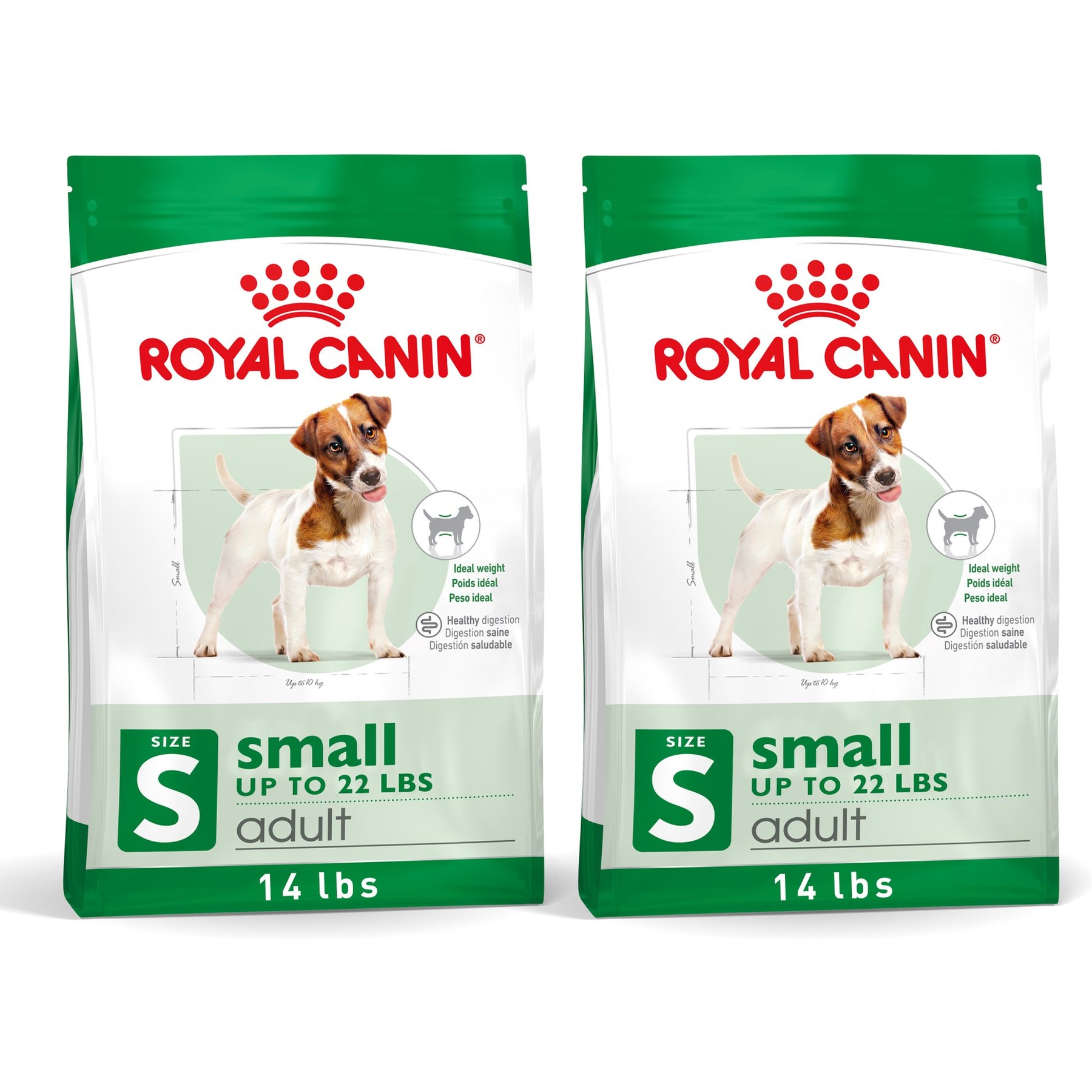 ２個パック CANIN mini INDOOR adult S 2個パック CANIN mini INDOOR adult S ミニ インドア アダルト