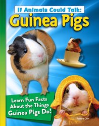 If Animals Could Talk: Guinea Pigs