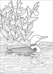 Birds at Home Coloring Book slide 2 of 4