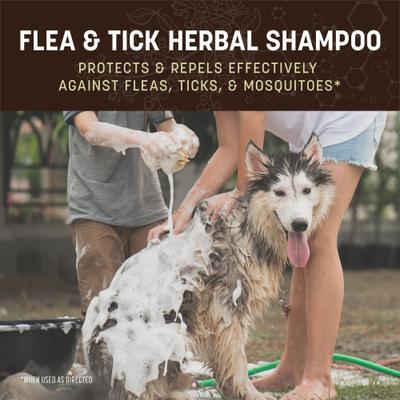 Show full view: Earth Animal Apothecary Natural Flea & Tick Herbal Shampoo for Dogs, 12-fl oz bottle slide 5 of 7