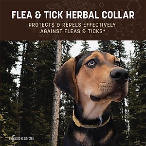 Earth Animal Apothecary Natural Flea & Tick Herbal Collar for Dogs, Medium: 21 to 23-in neck