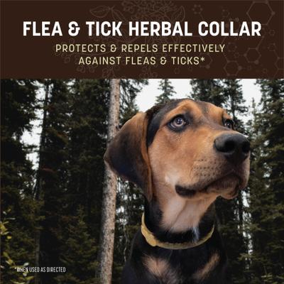 Show full view: Earth Animal Apothecary Natural Flea & Tick Herbal Collar for Dogs, Medium: 21 to 23-in neck slide 5 of 8