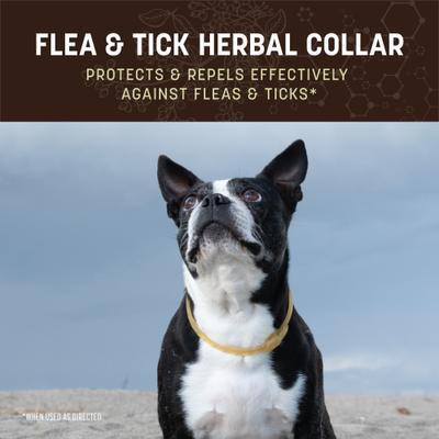 Show full view: Earth Animal Apothecary Natural Flea & Tick Herbal Collar for Dogs, Small: Up to 20-in neck slide 5 of 8