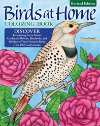 Birds at Home Coloring Book