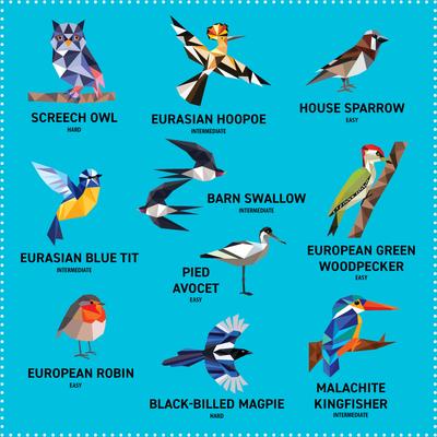 Show full view: My Sticker Paintings: Birds slide 2 of 4