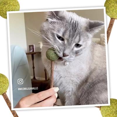 Show full view: Meowijuana Lollies Silvervine Sticks with Catnip, 3 count slide 7 of 9