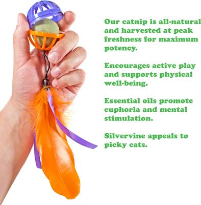 Show full view: Meowijuana Purple Passion Whack 'n' Roll Compressed Catnip Ball with Cage slide 4 of 9