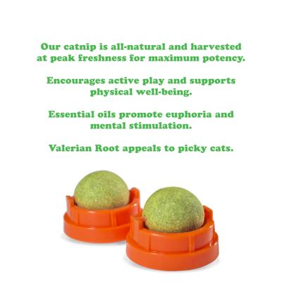 Show full view: Meowijuana Kalico Kush Stick 'n' Lick Compressed Catnip, 2 count slide 5 of 8