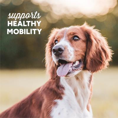 Show full view: Cloud Star Dynamo Dog Hip & Joint Bacon Formula Grain-Free Soft Chew Dog Treats, 14-oz bag slide 6 of 11