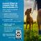 Show in main carousel: Cloud Star Dynamo Dog Hip & Joint Bacon Formula Grain-Free Soft Chew Dog Treats, 14-oz bag slide 8 of 11