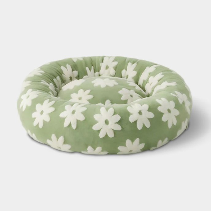Fun & trendy dog beds