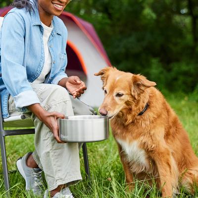 Show full view: Frisco Double Insulated Non-skid Stainless Steel Dog Bowl With Lid, Steel, Large: 8 cup slide 6 of 9