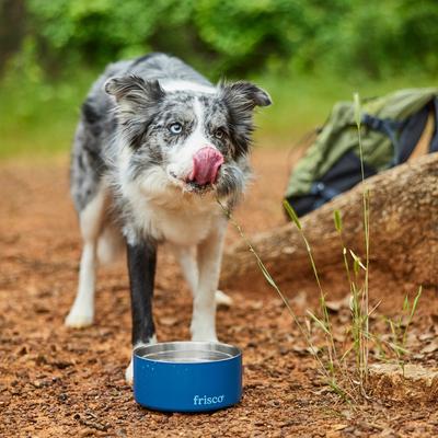 Show full view: Frisco Double Insulated Non-skid Stainless Steel Dog Bowl With Lid, Blue, Medium: 4 cup slide 6 of 9