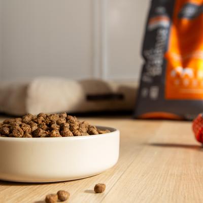 Show full view: Muenster Perfect Balance Chicken Meal & Pork Meal Recipe with Ancient Grains Dry Dog Food, 25-lb bag slide 4 of 11