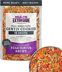 Health Extension Gently Cooked Grain-Free Vegetarian Recipe Wet Dog Food, 9-oz pouch, 1 count